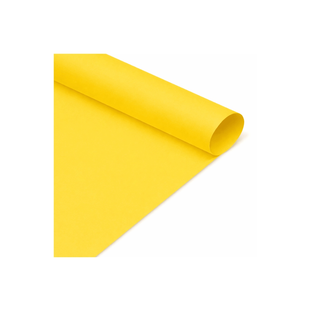 CARTULINA IRIS 160GR AMARILLA 50X70CM