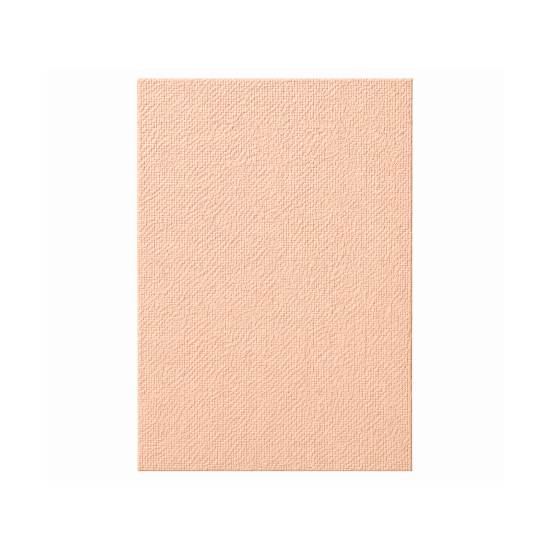 FOAMY TOALLA CARNE A4 X10