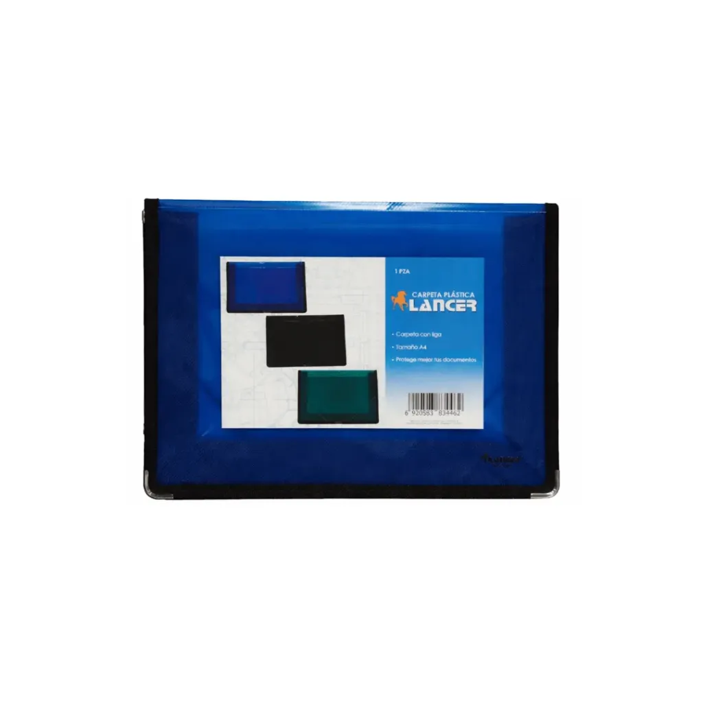 CARPETA PLASTICA A4 + LIGA