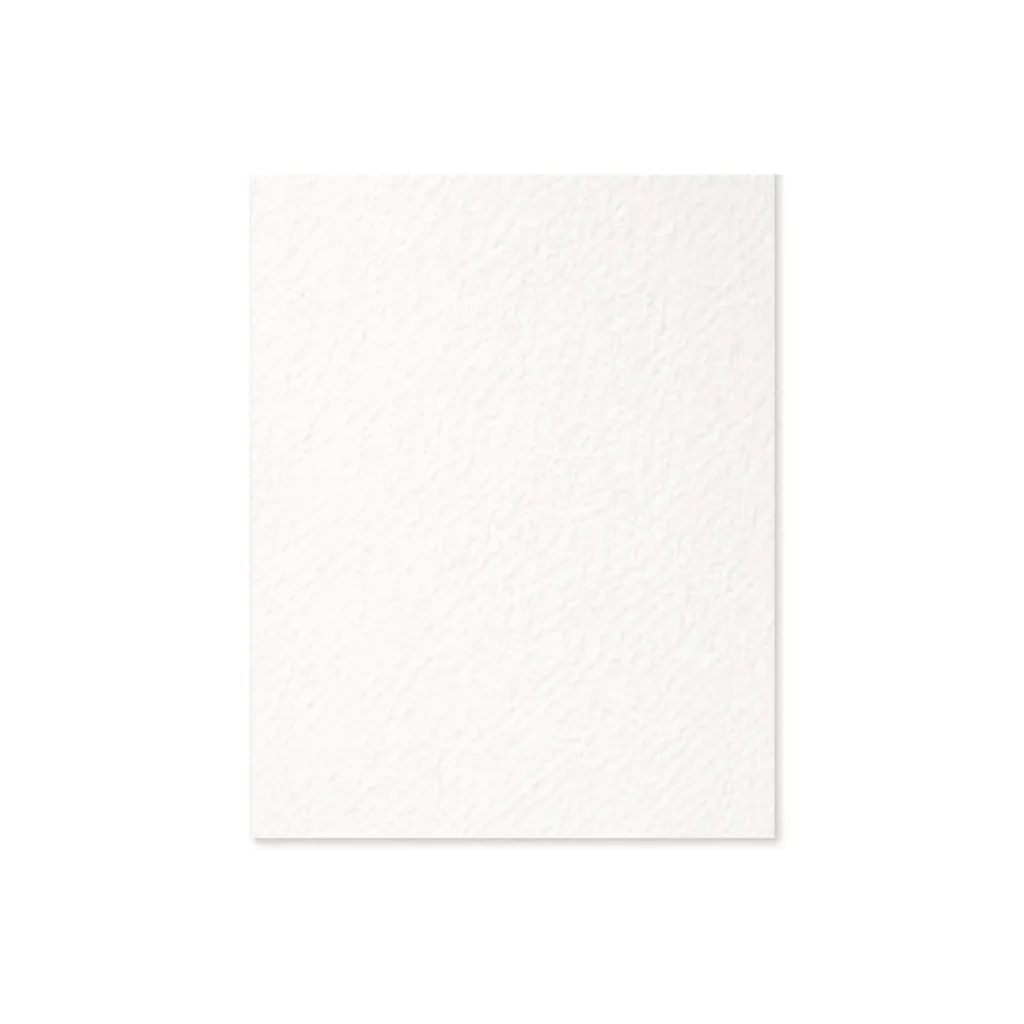 CARTULINA CANSON 160 GR -50X65CM BLANCO