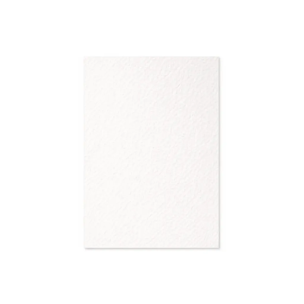 CARTULINA CANSON BLANCA A4