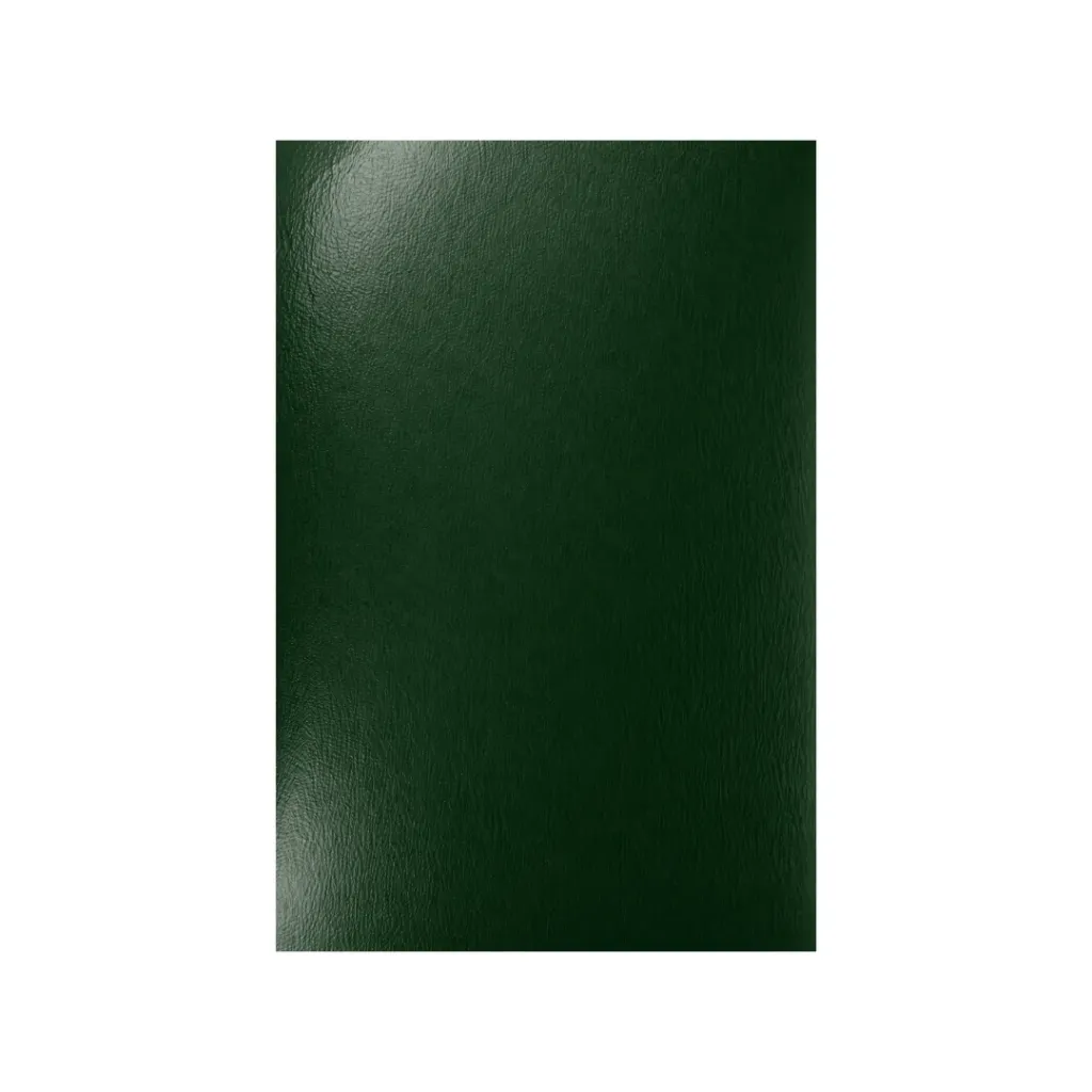CARTULINA ESMALTADA VERDE OSCURO 210GR 70X100CM