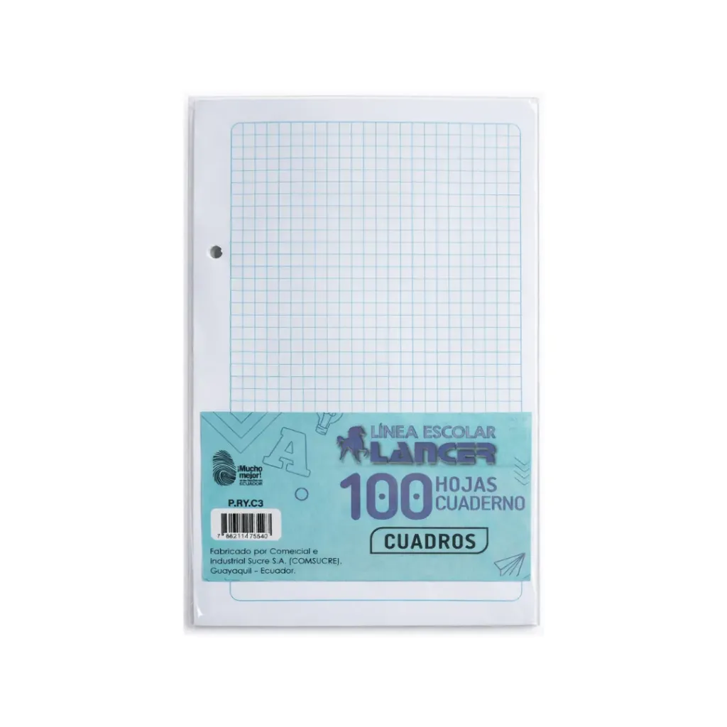 HOJAS TAMAÑO CUADERNO CUADROS X100HJ (A5)